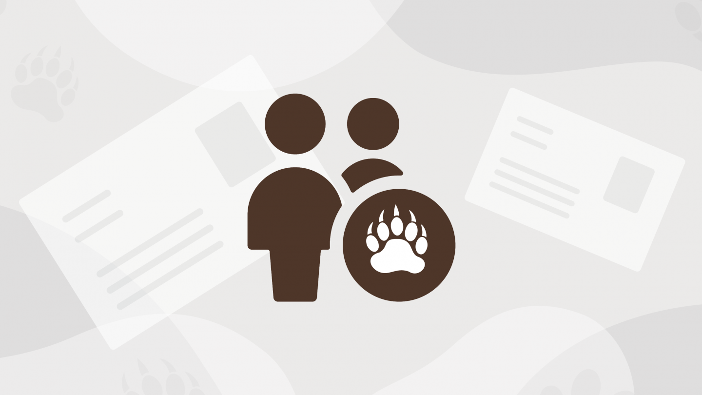 Bear Bucks The Brown Card Brown University